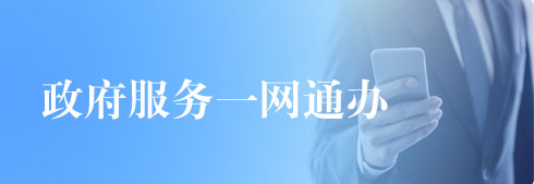 政府服務(wù)一網(wǎng)通辦
