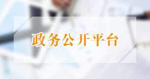 政務(wù)公開平臺