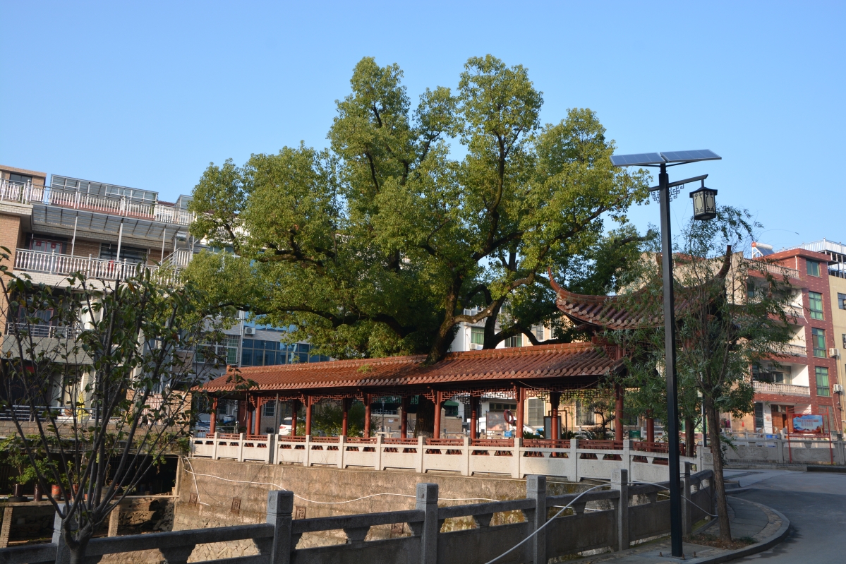 圖2.文明生態(tài)里忠村.jpg